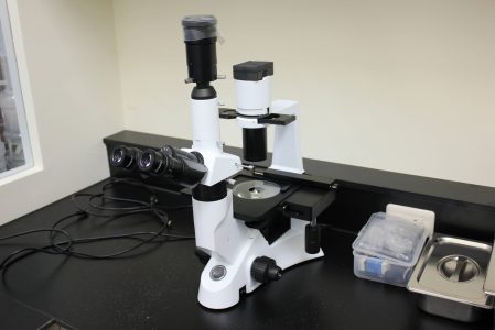 Invert microscope