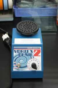 Vortex-2